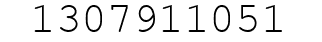 Number 1307911051.