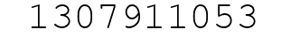 Number 1307911053.