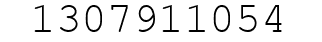 Number 1307911054.
