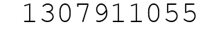 Number 1307911055.