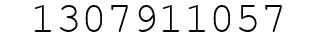 Number 1307911057.