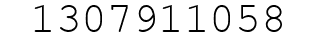Number 1307911058.