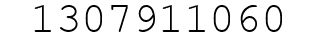 Number 1307911060.