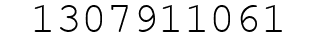 Number 1307911061.