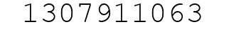 Number 1307911063.