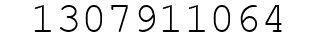 Number 1307911064.