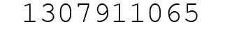 Number 1307911065.