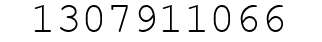 Number 1307911066.