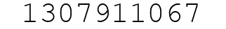 Number 1307911067.