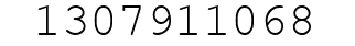 Number 1307911068.
