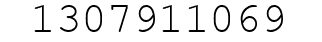 Number 1307911069.