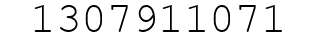 Number 1307911071.