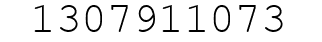 Number 1307911073.