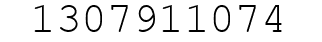 Number 1307911074.