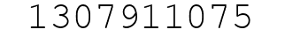 Number 1307911075.
