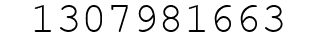Number 1307981663.