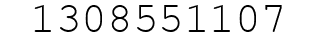 Number 1308551107.