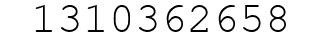 Number 1310362658.