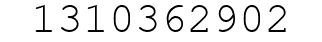 Number 1310362902.