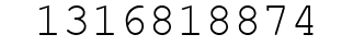 Number 1316818874.