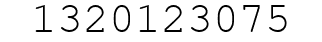 Number 1320123075.
