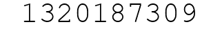 Number 1320187309.