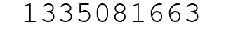 Number 1335081663.