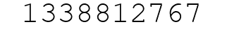Number 1338812767.