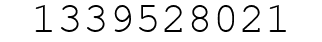 Number 1339528021.