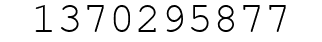 Number 1370295877.
