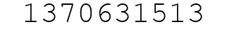 Number 1370631513.
