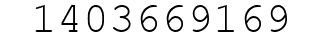Number 1403669169.