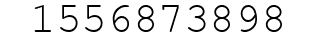 Number 1556873898.