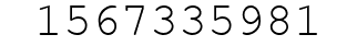 Number 1567335981.