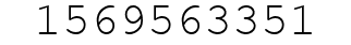 Number 1569563351.