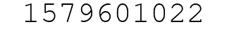 Number 1579601022.