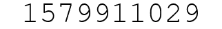 Number 1579911029.