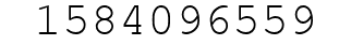 Number 1584096559.