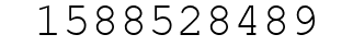Number 1588528489.