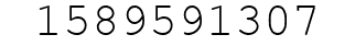 Number 1589591307.