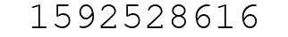 Number 1592528616.