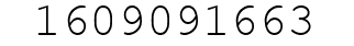 Number 1609091663.