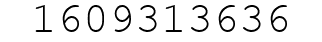 Number 1609313636.