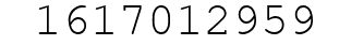 Number 1617012959.