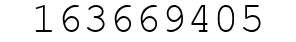 Number 163669405.