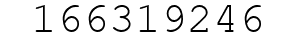 Number 166319246.