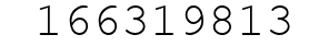 Number 166319813.