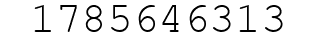 Number 1785646313.