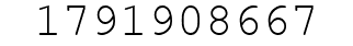 Number 1791908667.
