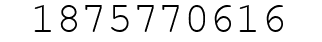 Number 1875770616.